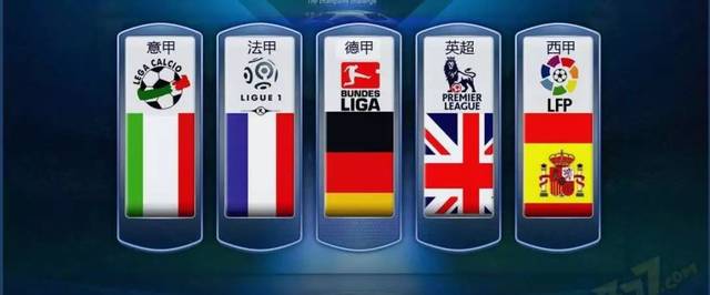 其独特的背 其独特的背